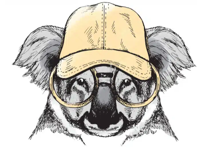 call tracking koal tracking gestion appels entrants sortants